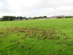 schade sportveld